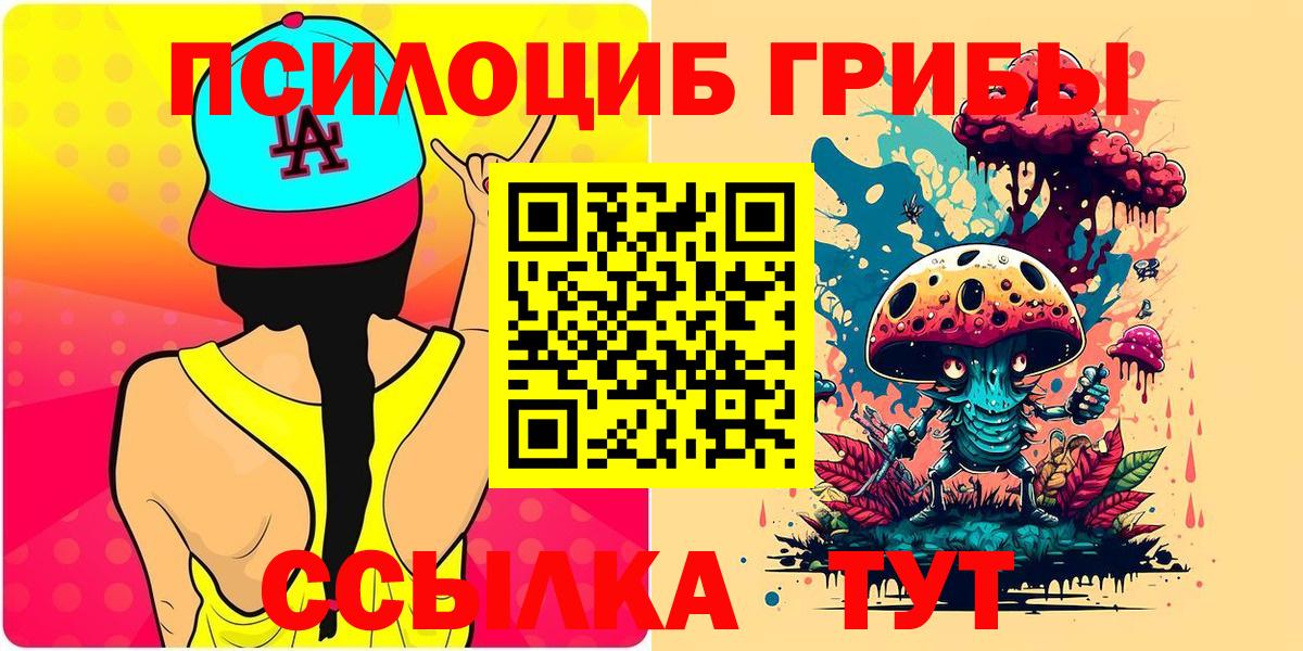 Псилоцибиновые грибы MAGIC MUSHROOMS  Вход с VPN  Выкса 