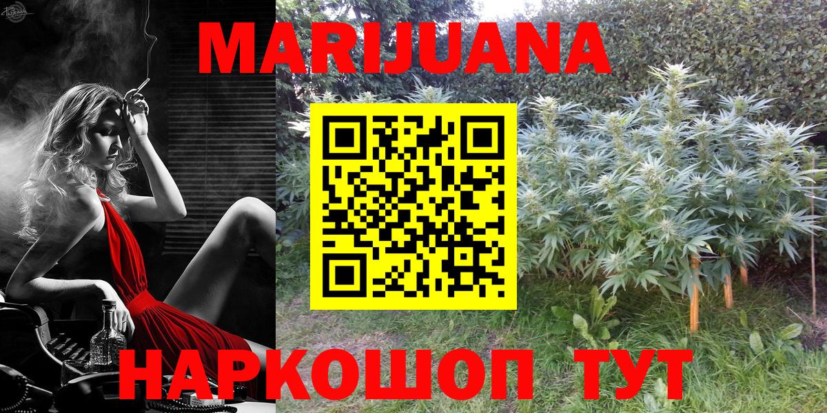 Конопля планчик  Вход с VPN  Бошки марихуана планчик  Марихуана конопля  Выкса 